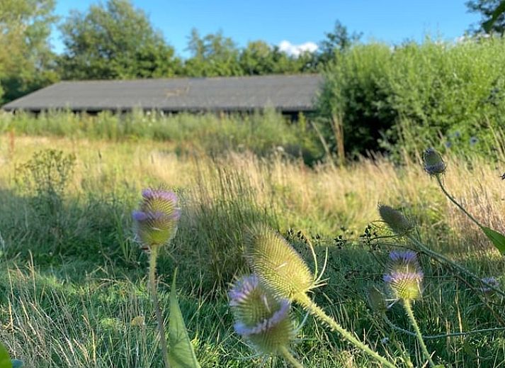 Stilvolles Esszimmer im Ferienhaus in Welsum mit modernen Pendelleuchten und Esstisch aus Holz.