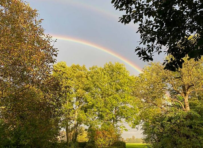 Stilvolles Esszimmer im Ferienhaus in Welsum mit modernen Pendelleuchten und Esstisch aus Holz.