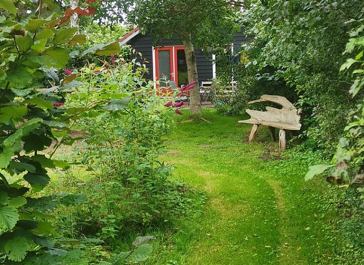 Unterkunft 531103 - Ferienhaus Salland - Huisje in Welsum