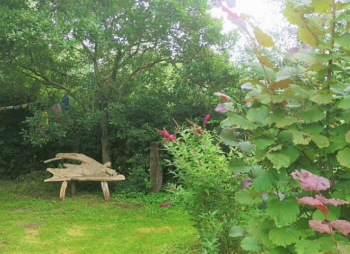 Unterkunft 531103 - Ferienhaus Salland - Huisje in Welsum