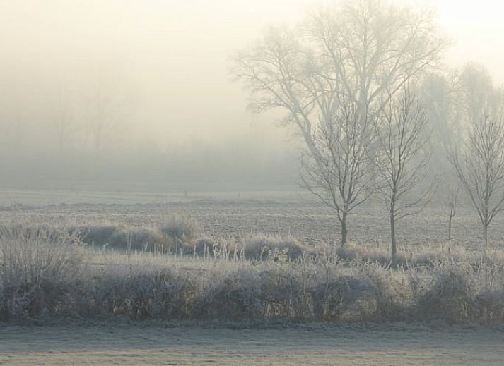 Unterkunft 531103 - Ferienhaus Salland - Huisje in Welsum