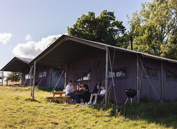Guest house 531210 - Tent house Salland - Tenthuisje met warme privédouche bij de boer