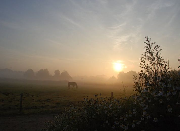 Comfortabele zithoek in Vakantiehuisje in Heeten, omgeven door de rust van Salland.