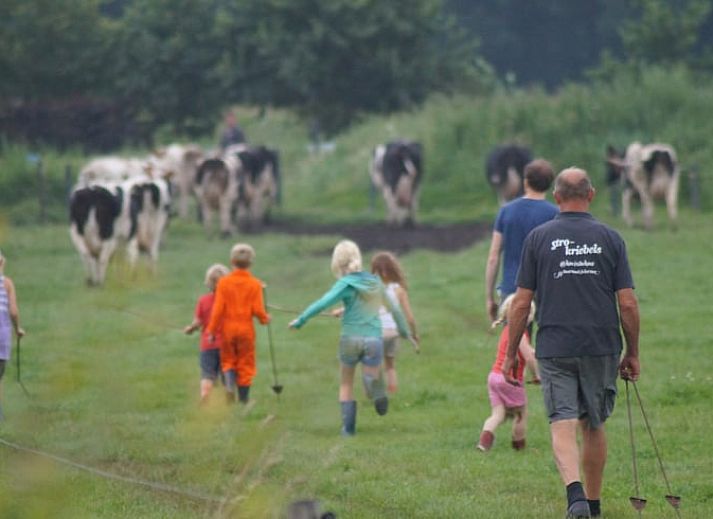 Eethoek in Vakantiehuisje in Heeten, Overijssel, met uitzicht op het groene landschap.
