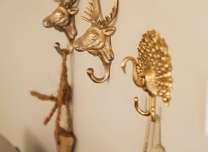 Uitzicht op de natuur vanuit Huisje in Heeten, een vakantiehuis in Heeten, Overijssel.