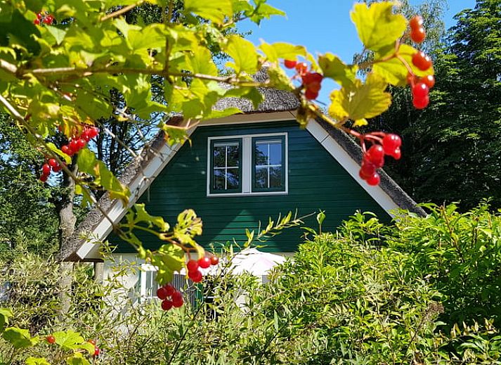 Verblijf 531306 • Vakantiewoning Salland • Huisje in Heeten