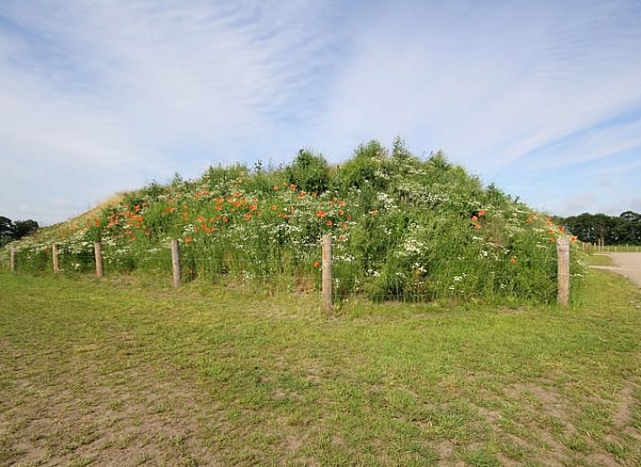 Verblijf 531307 - Vakantiewoning Salland - Vakantiehuisje in Heeten