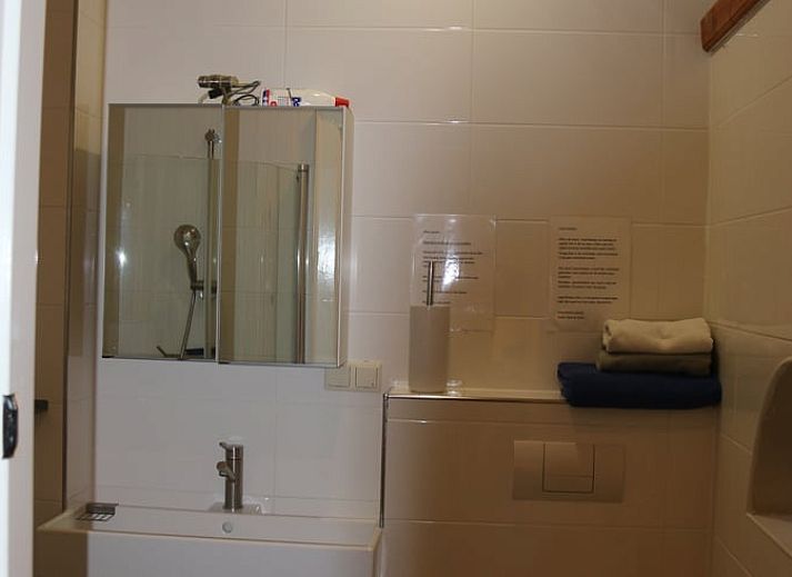 Spacious terrace at the cottage in Heeten, Salland, with comfortable seating areas.