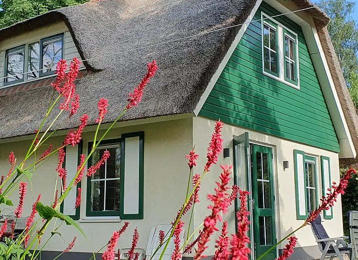 Guest house 531313 - Holiday property Salland - Salland Vakantie