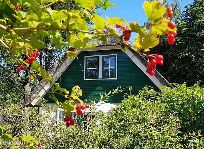 Guest house 531313 - Holiday property Salland - Salland Vakantie
