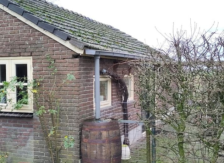 Verblijf 531314 - Vakantiewoning Salland - Vakantiehuisje in Heeten