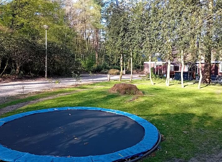 Ingang van Huisje in Heeten, vakantiehuis in het groene Salland, Overijssel.