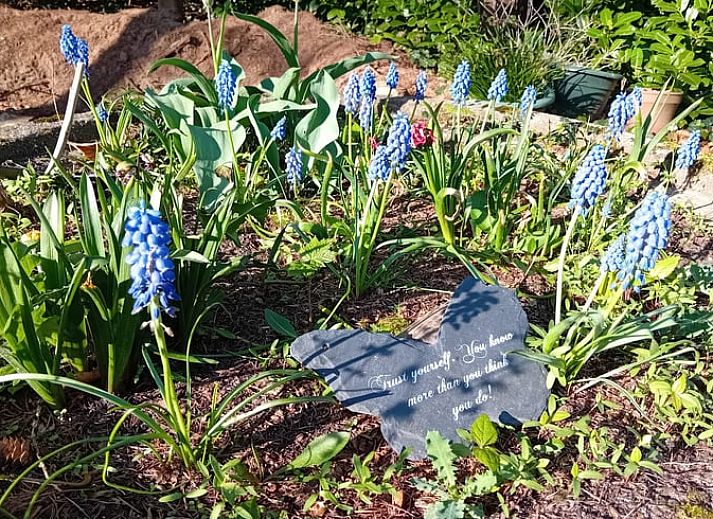 Ruime eetkamer in Huisje in Heeten, comfortabel vakantiehuis in Salland, Overijssel.