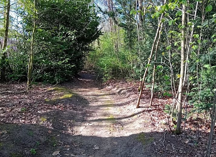 Ruime eetkamer in Huisje in Heeten, comfortabel vakantiehuis in Salland, Overijssel.