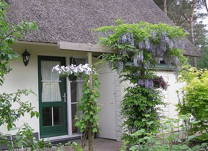 Guest house 531320 - Holiday property Salland - Bosvilla Elfie