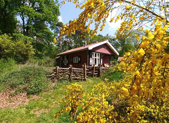 Verblijf 531503 • Vakantiewoning Salland • Huisje in Okkenbroek 