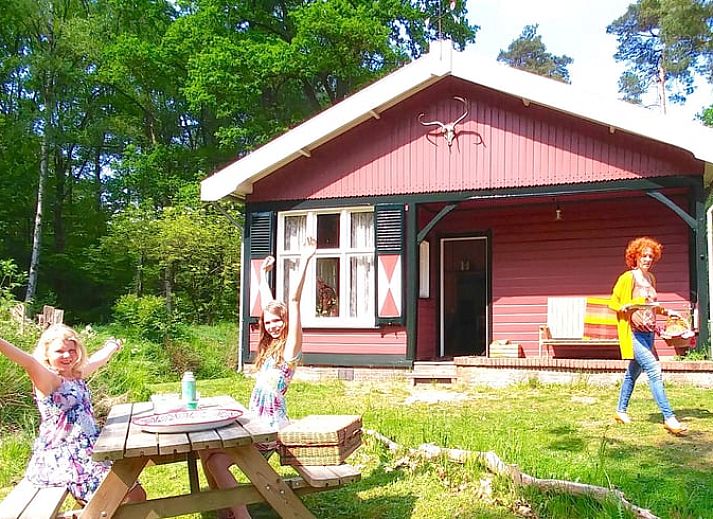 Huisje in Okkenbroek, vakantiehuis omringd door bloeiende natuur in Salland, Overijssel.