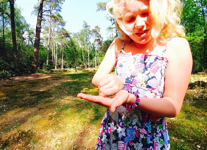Huisje in Okkenbroek, vakantiehuis omringd door bloeiende natuur in Salland, Overijssel.