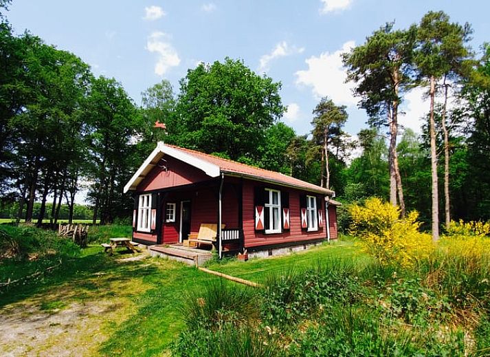 Kind geniet van de natuur rondom Huisje in Okkenbroek, vakantiehuis in Salland, Overijssel.