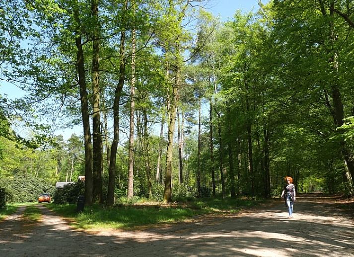 Knusse woonkamer in Huisje in Okkenbroek, vakantiehuis in Salland, Overijssel.