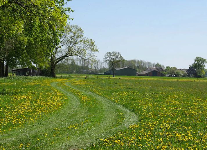 Knusse woonkamer in Huisje in Okkenbroek, vakantiehuis in Salland, Overijssel.