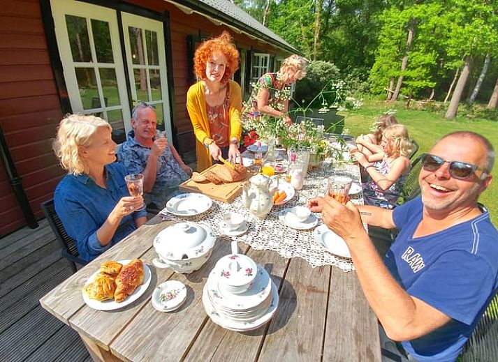 Vacation home in Okkenbroek, located in green Salland, Overijssel, with a spacious veranda and surrounded by nature.