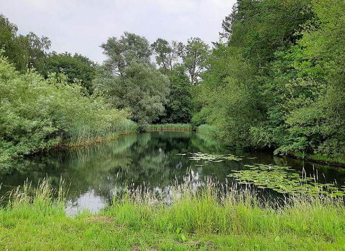 Verblijf 531509 - Vakantiewoning Salland - Huisje in Okkenbroek