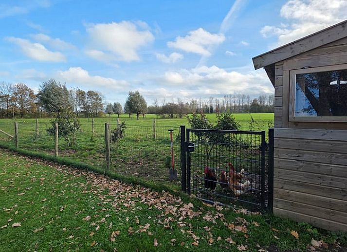 Blick auf gruene Felder und laendliche Umgebung in Huisje in Olst, Ferienhaus in Salland, Overijssel, ideal fuer Ruhesuchende.