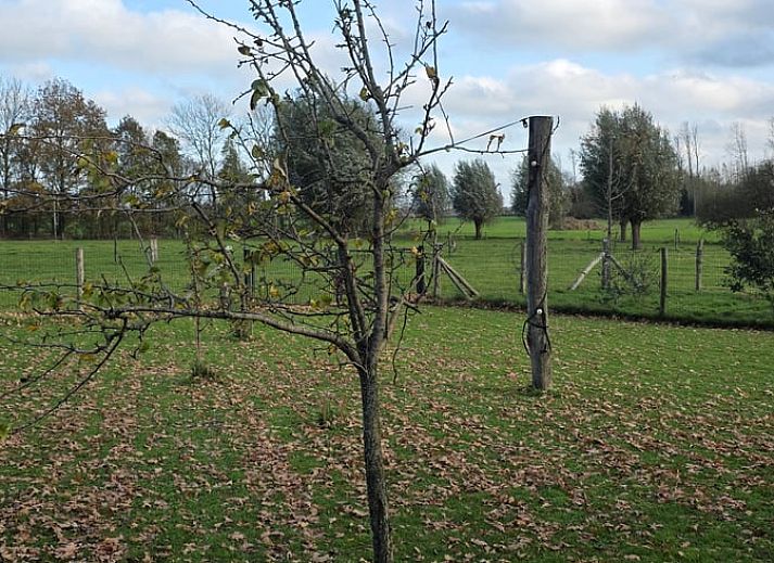 Gemuetlicher Innenraum im Ferienhaus in Olst, Salland, Overijssel mit Holzofen fuer eine warme Atmosphaere in diesem Ferienhaus.