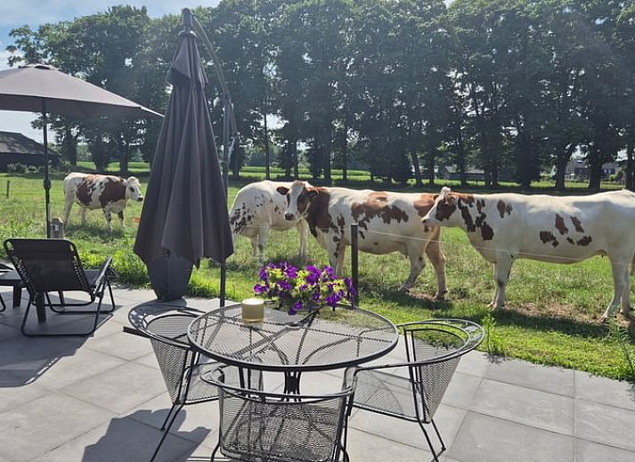 Unterkunft 531722 - Ferienhaus Salland - Huisje in Olst