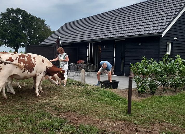 Unterkunft 531722 - Ferienhaus Salland - Huisje in Olst