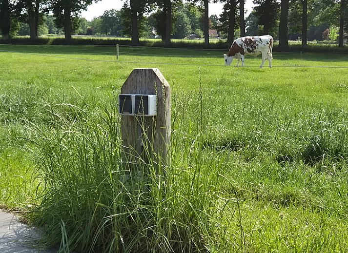 Unterkunft 531722 - Ferienhaus Salland - Huisje in Olst