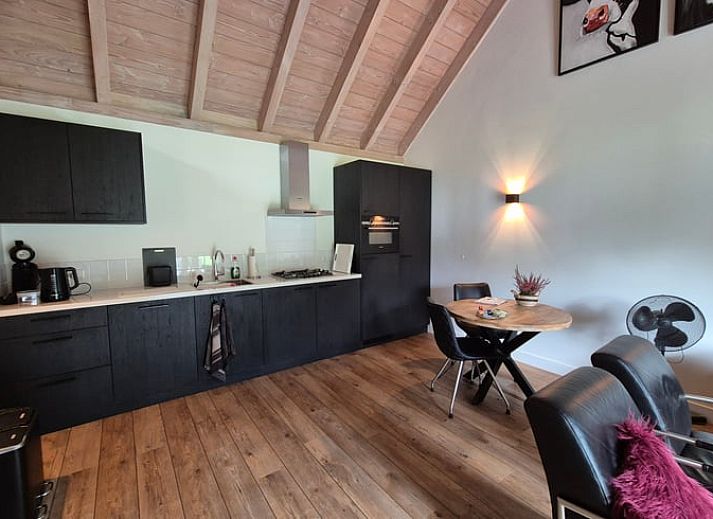 Landelijke omgeving van Huisje in Olst, vakantiehuis met grazende koeien, Salland, Overijssel