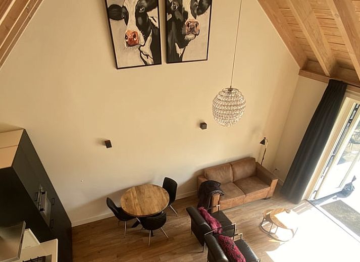 Landelijke omgeving van Huisje in Olst, vakantiehuis met grazende koeien, Salland, Overijssel