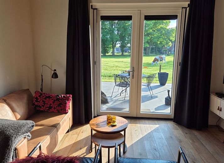 Landelijke omgeving van Huisje in Olst, vakantiehuis met grazende koeien, Salland, Overijssel