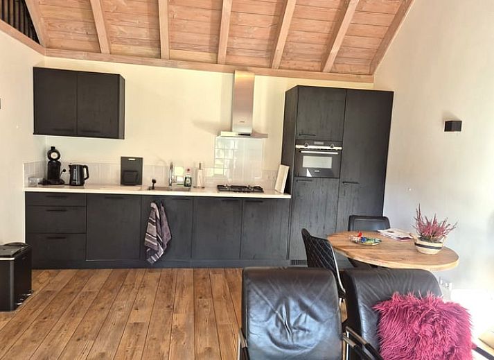 Huisje in Olst, vakantiehuis met terras en koeien in de buurt, Olst, Overijssel