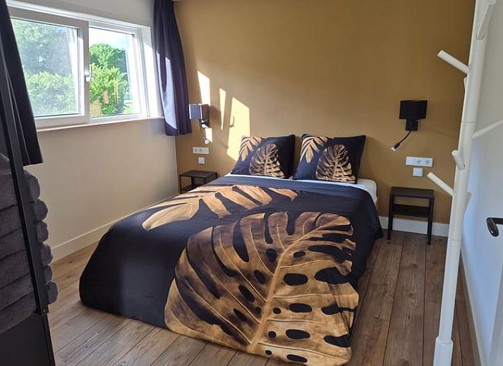 Huisje in Olst, vakantiehuis met terras en koeien in de buurt, Olst, Overijssel