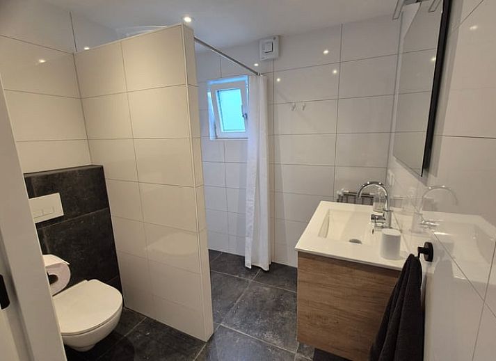 Close-up van koeien nabij Huisje in Olst, vakantiehuis in Salland, Overijssel