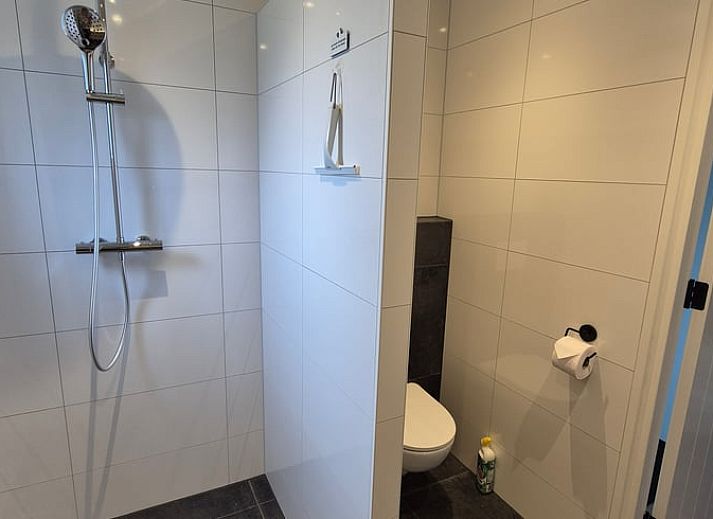 Close-up van koeien nabij Huisje in Olst, vakantiehuis in Salland, Overijssel