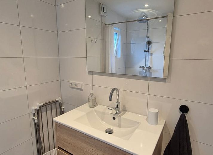 Close-up van koeien nabij Huisje in Olst, vakantiehuis in Salland, Overijssel