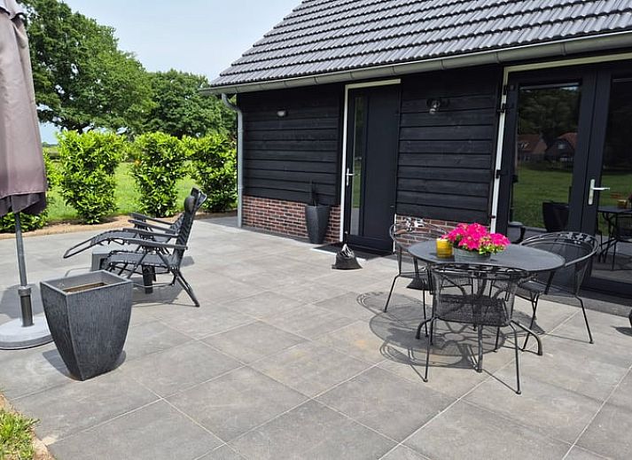 Natuurlijke omgeving rond Huisje in Olst, vakantiehuis met koeien, Salland, Overijssel