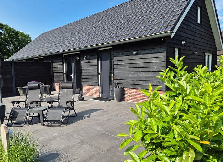 Natuurlijke omgeving rond Huisje in Olst, vakantiehuis met koeien, Salland, Overijssel