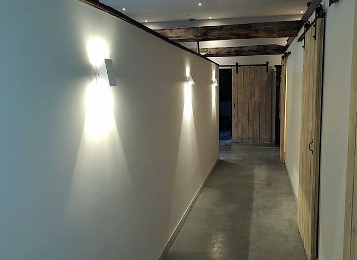 Spacious terrace at Holiday home in Nieuwleusen, Salland, with thatched roof in Overijssel.