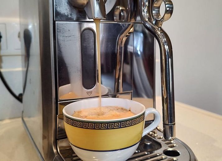 Traditional thatched roof of Holiday home in Nieuwleusen, Salland, located in Overijssel.