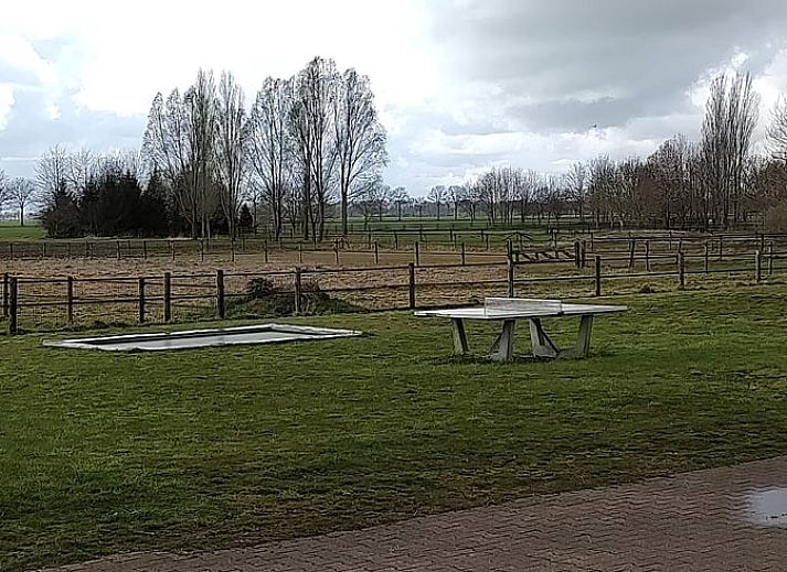 Cozy dining room in Holiday home in Nieuwleusen, Salland, with wooden table in Overijssel.