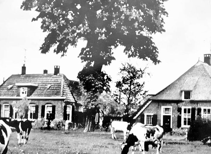 Guest house 531809 • Holiday property Salland • Vakantiehuisje in Nieuwleusen