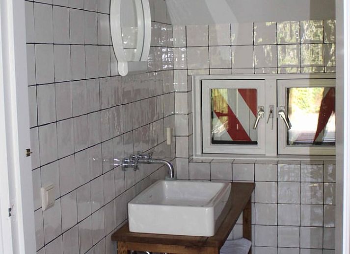 Blick auf die gruene Umgebung von Cottage in Heino, Ferienhaus in Salland, Overijssel.