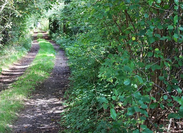 Vorderansicht von Cottage in Heino, charmantes Ferienhaus in Salland, Overijssel.