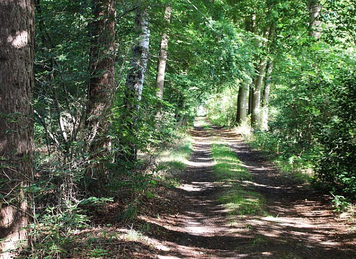 Vorderansicht von Cottage in Heino, charmantes Ferienhaus in Salland, Overijssel.