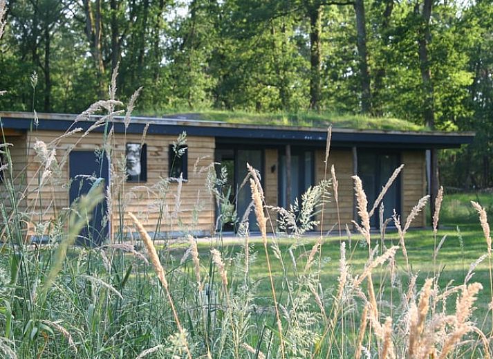 Cottage in Hellendoorn, a charming vacation home surrounded by green nature in Salland, Overijssel.